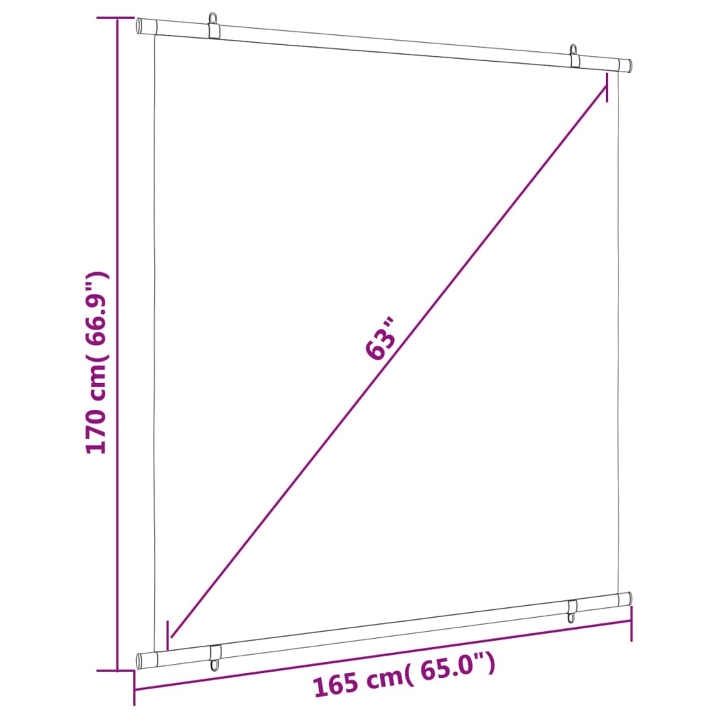 Schermo di Proiezione 63" 1:1