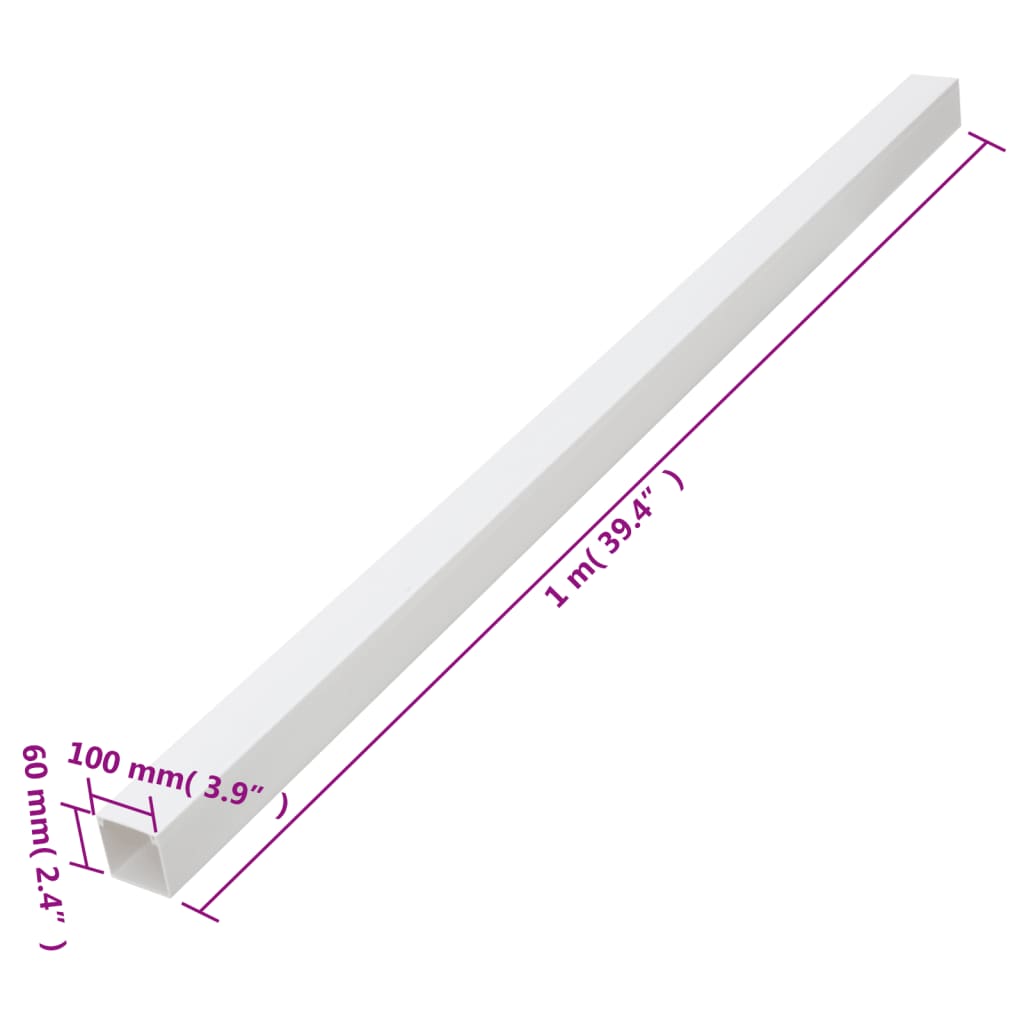 Canalina per Cavi 100x60 mm 10 m in PVC